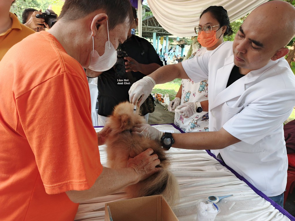 Balai Karantina Hewan Adakan Vaksinasi Gratis, Dukung Lampung Bebas Rabies