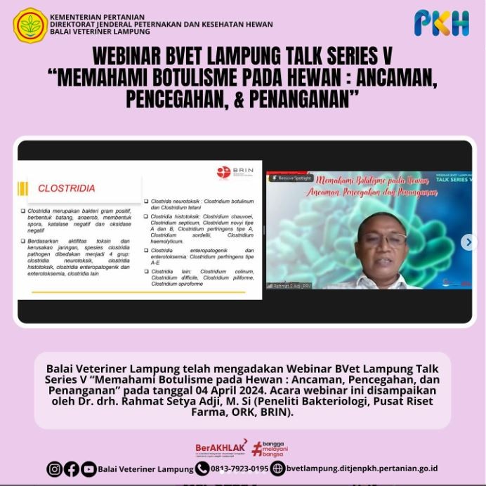 Webinar Talkseries V