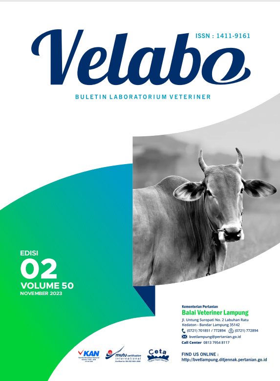 VELABO VOLUME 50 NOVEMBER 2023