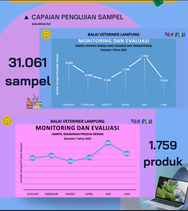 Infografis 6
